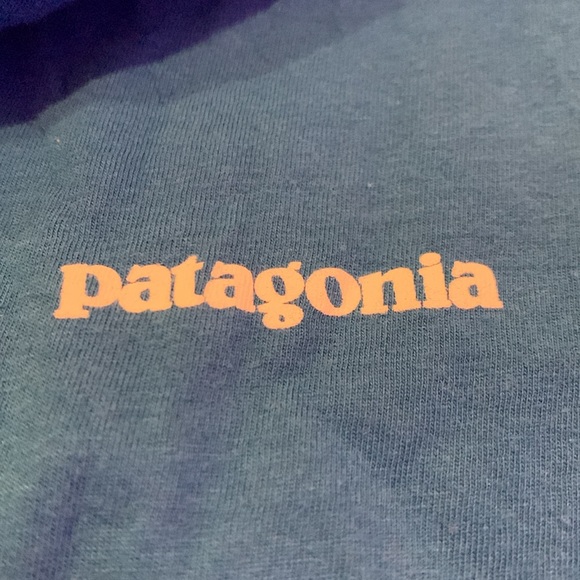 Patagonia, small, regular fit, blue T- shirt - Picture 3 of 4